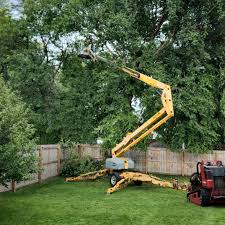 How Our Tree Care Process Works  in  Huntingburg, IN