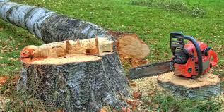 Best Tree Preservation Services  in Huntgburg, IN