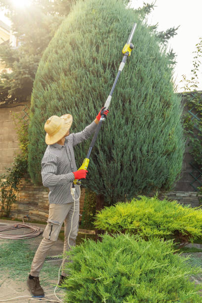 Best Tree Mulching  in Huntgburg, IN